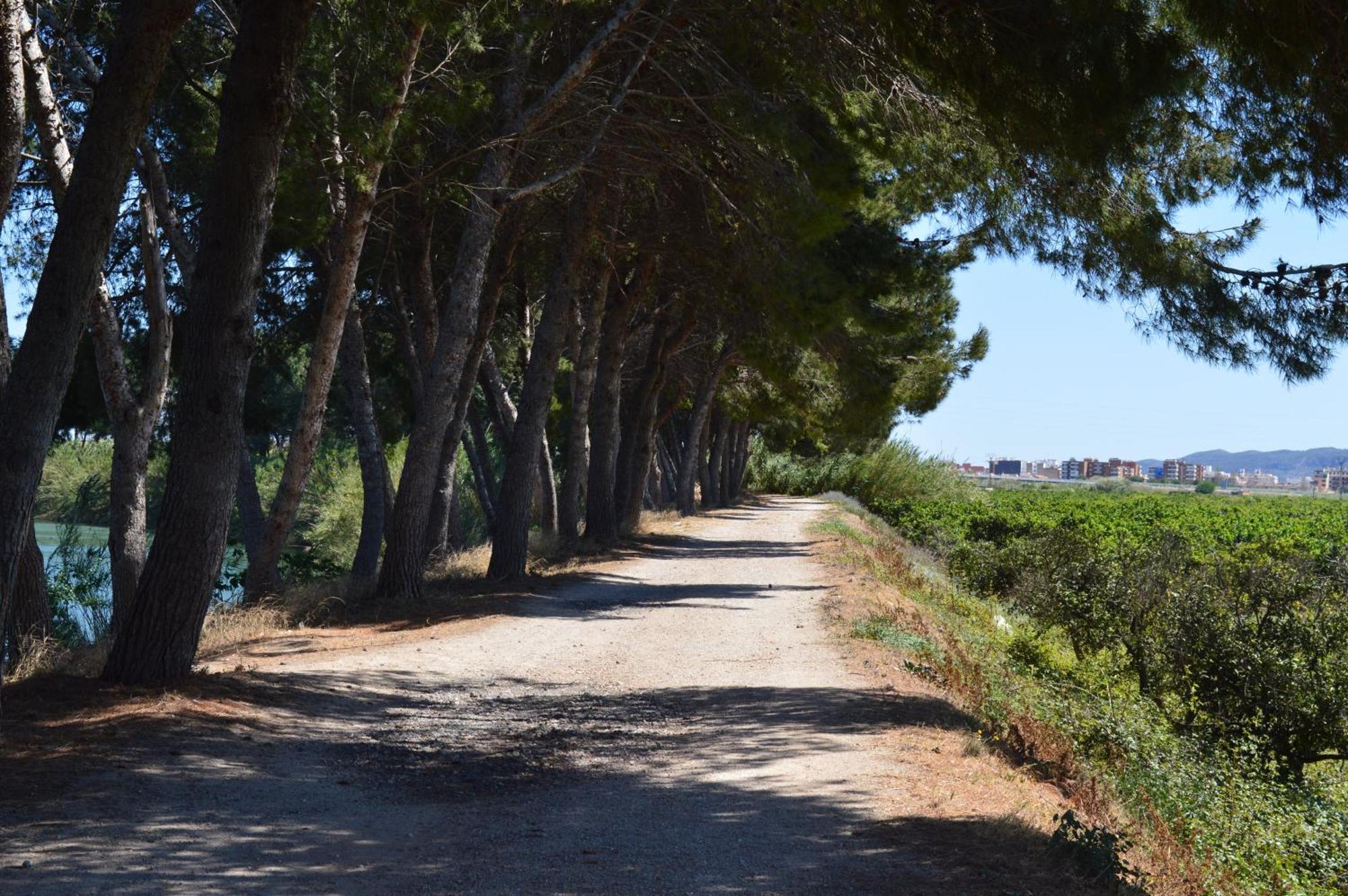Casa Del Riu. Villa Riola ภายนอก รูปภาพ